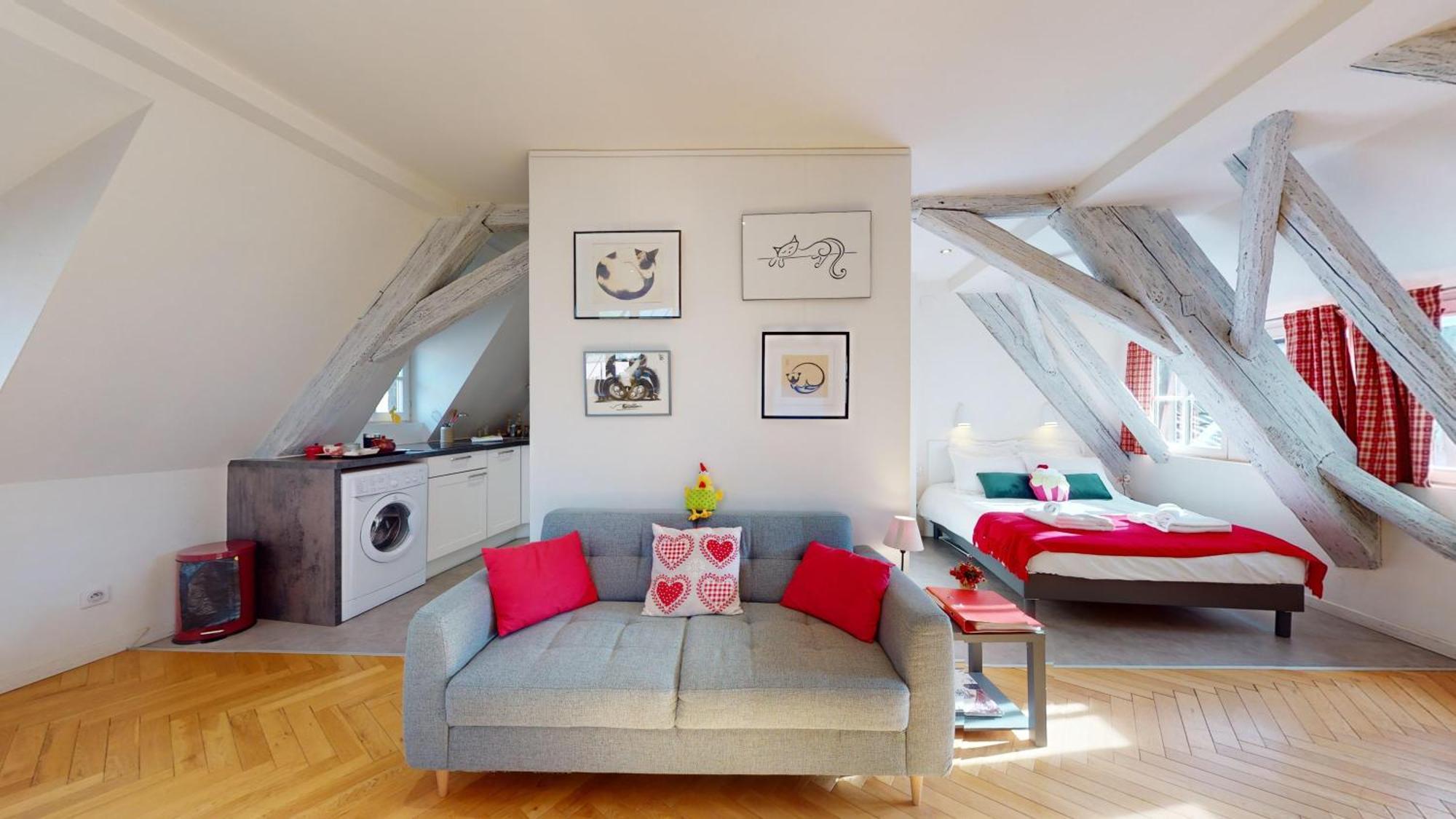 Duplex Le Coup De Coeur - Hyper Centre Colmar