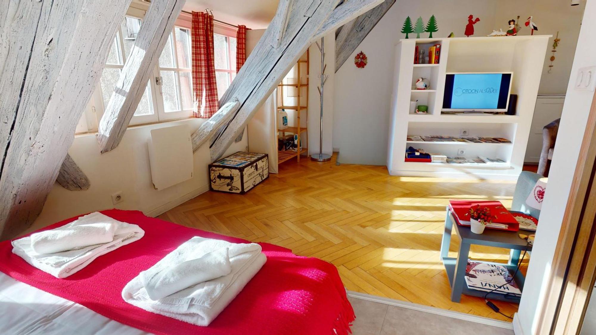 Appartement Duplex Le Coup De Coeur - Hyper Centre Colmar