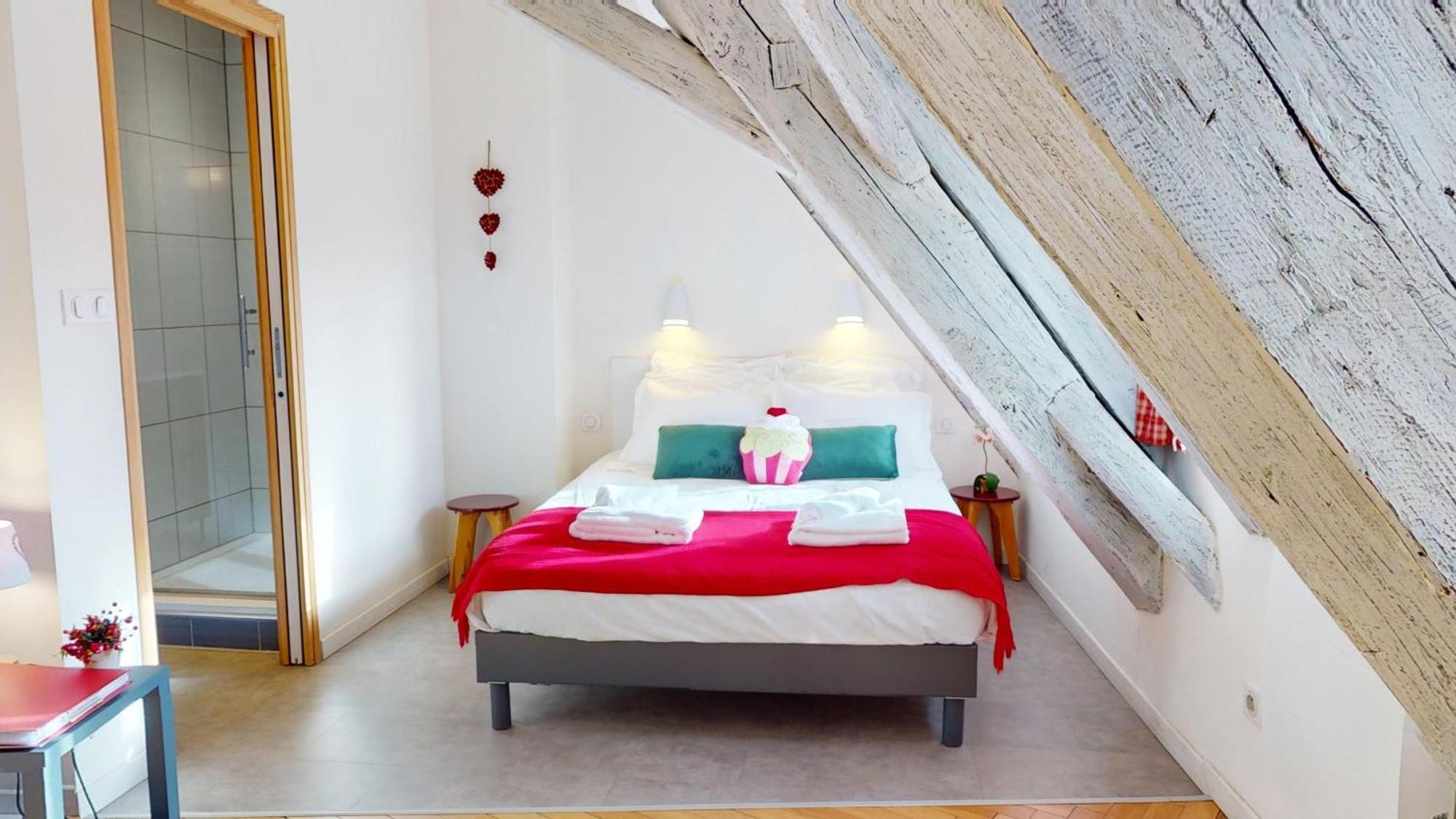 Duplex Le Coup De Coeur - Hyper Centre * Colmar